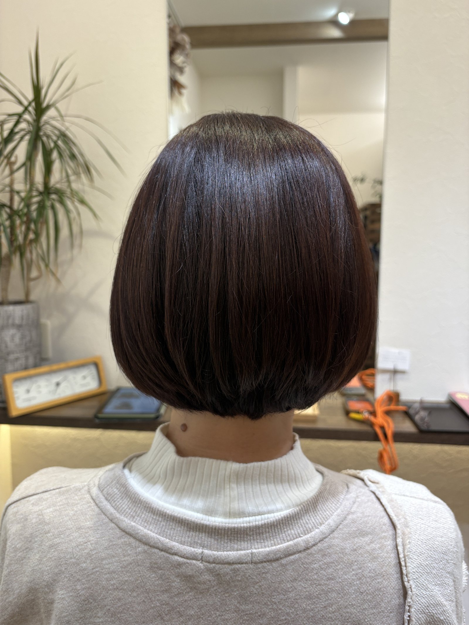 後ろ姿。ツヤと丸みが引き立つバックシルエット