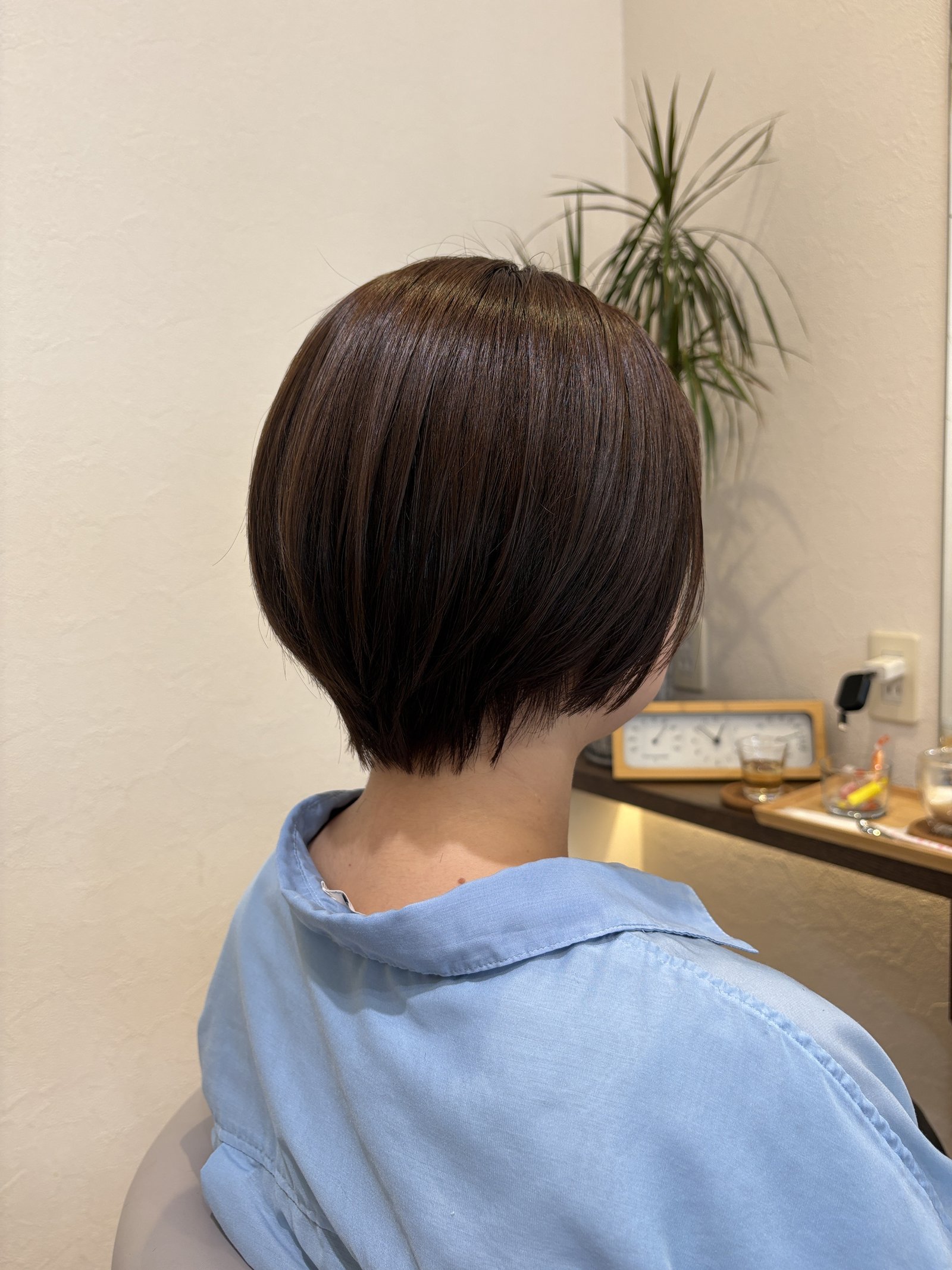まろやかなショコラブラウン|丸みシルエットが際立つ斜め後ろからのフォルム