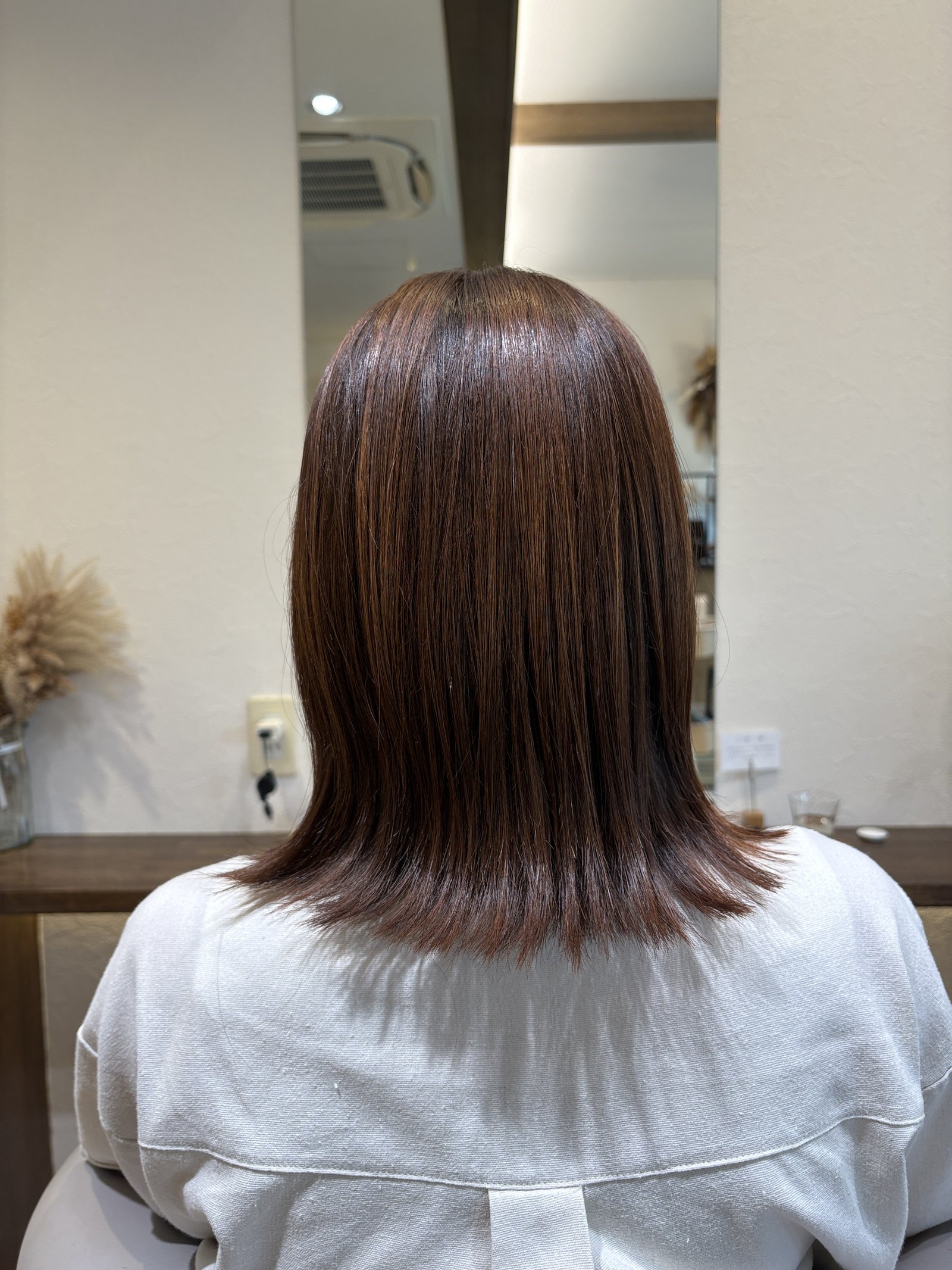 段を入れずに切り揃えたワンレングスの毛先|厚みとツヤが際立つ大人のボブ、真後ろ