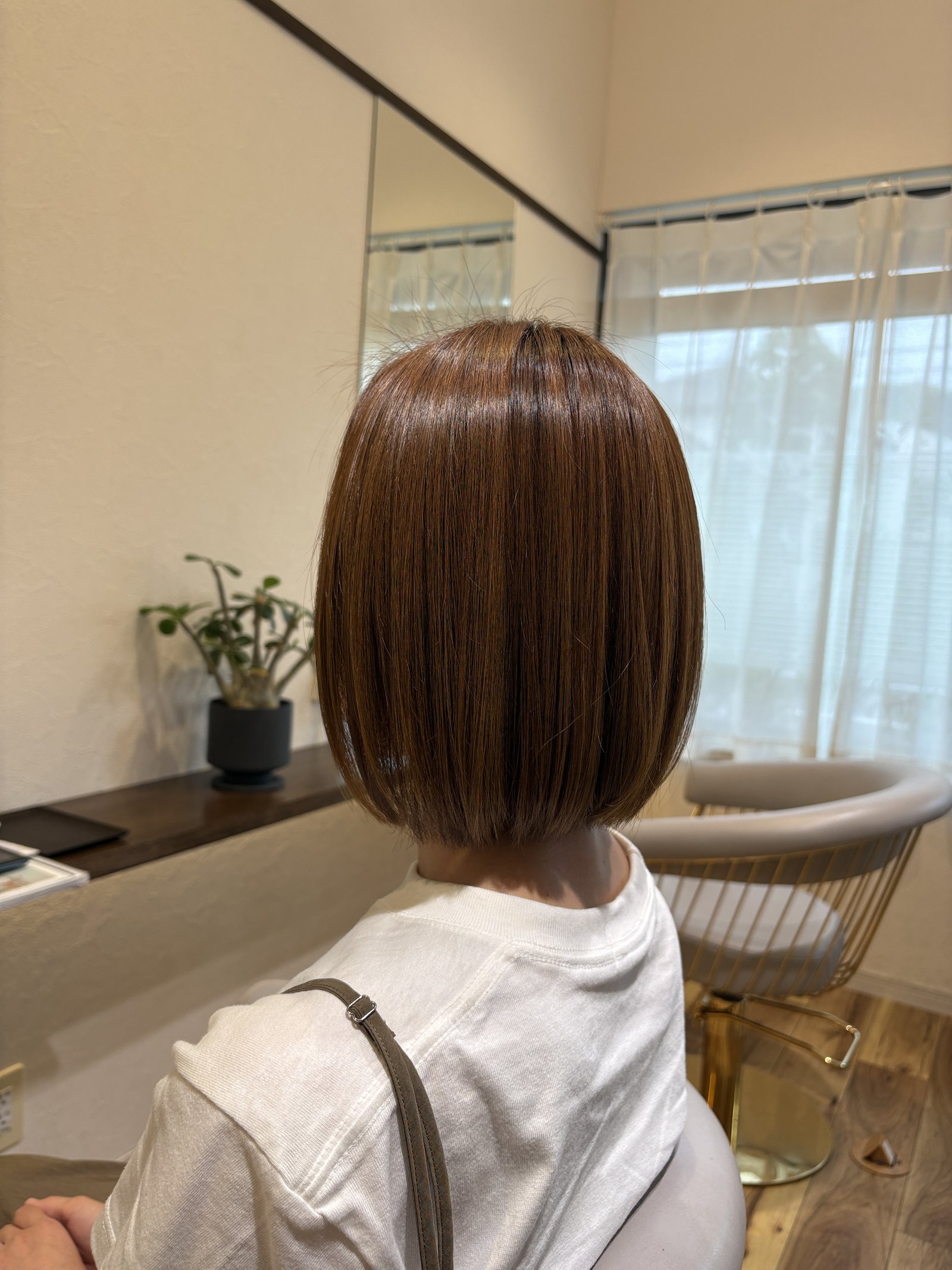毛先がそろうことで生まれる面のツヤ｜後頭部から毛先へ自然な丸みが続く、斜め後ろ