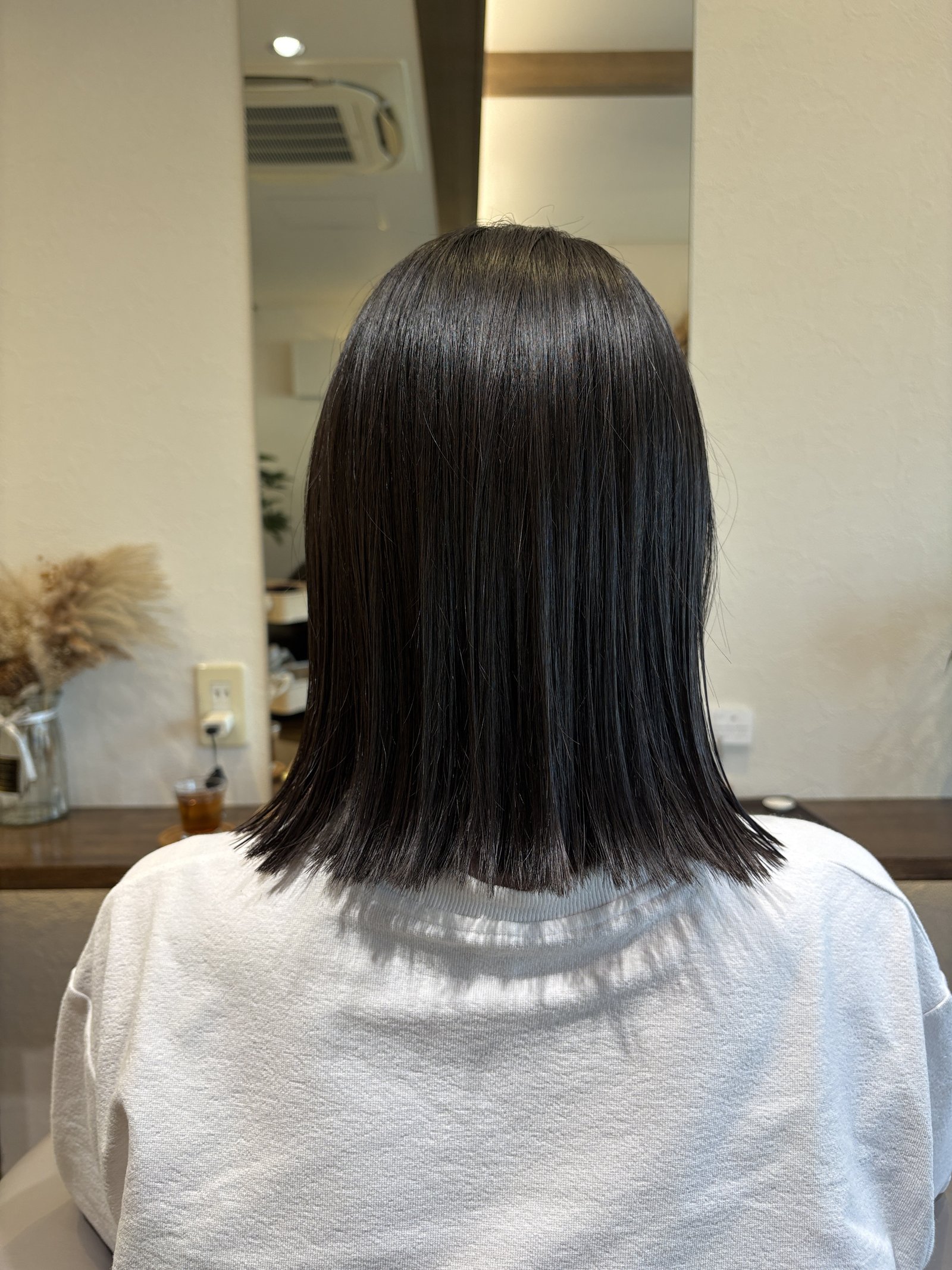 毛先までととのう暗髪ストレートの後ろ姿、真後ろ