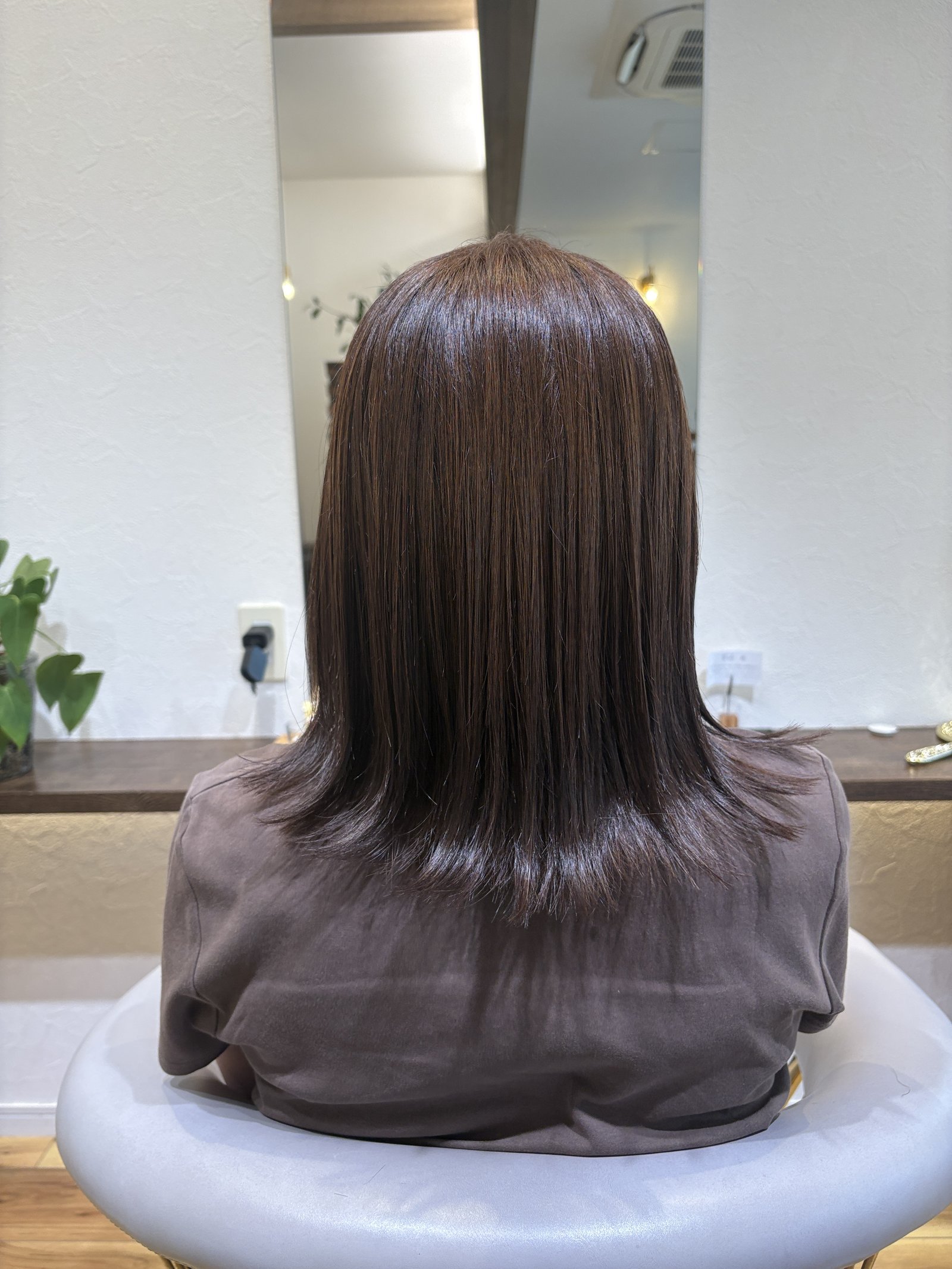 光が一直線に返るストレートセミロングの後ろ姿、真後ろ
