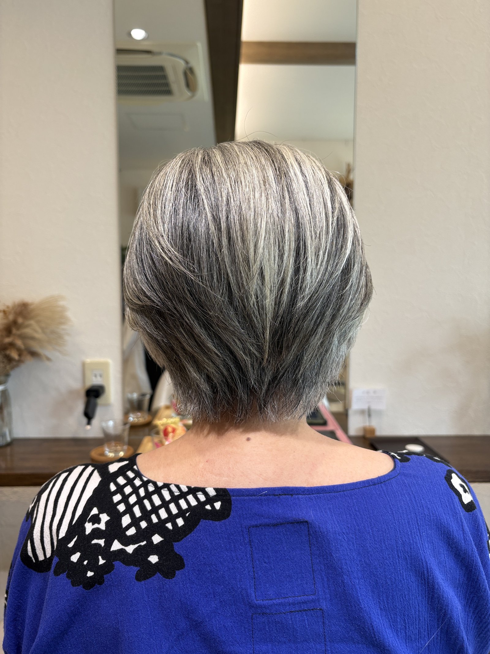 グレイヘアの立体感が主役の後ろ姿｜襟足すっきりのコンパクトシルエット、真後ろ