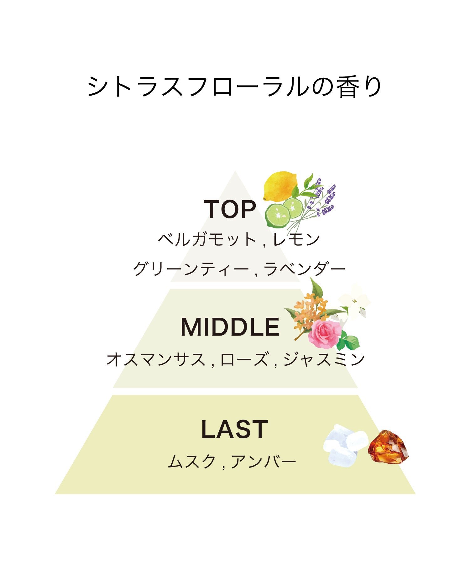track オイル No.3の香りの構成|ミドルノートにオスマンサス=金木犀が香る