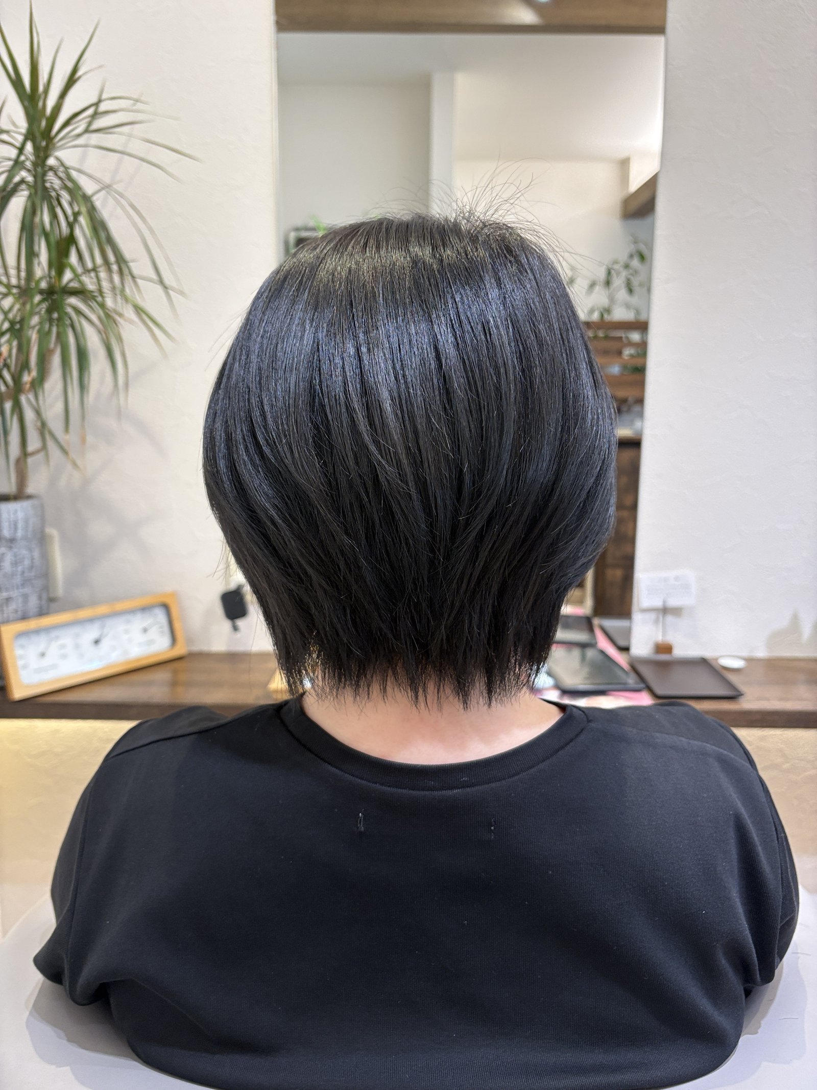 真後ろから見た黒髪ハンサムショート=丸みのシルエットとタイトな襟足のコントラスト