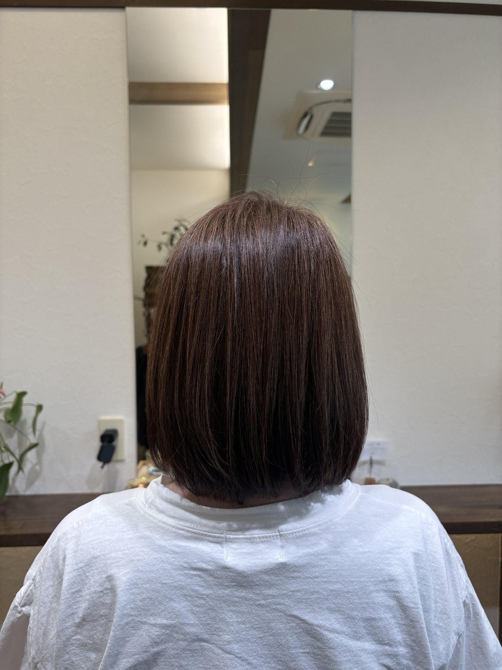 裾のラインがそろってまとまる後ろ姿|重さを残した鎖骨上ボブを真後ろから