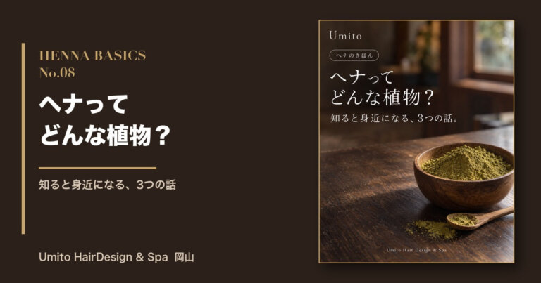 ヘナのきほん08|ヘナってどんな植物?知ると身近になる3つの話