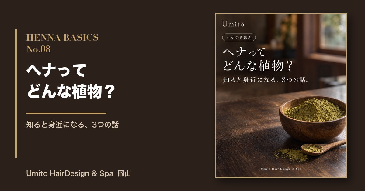 【ヘナのきほん08】ヘナってどんな植物？知ると身近になる3つの話