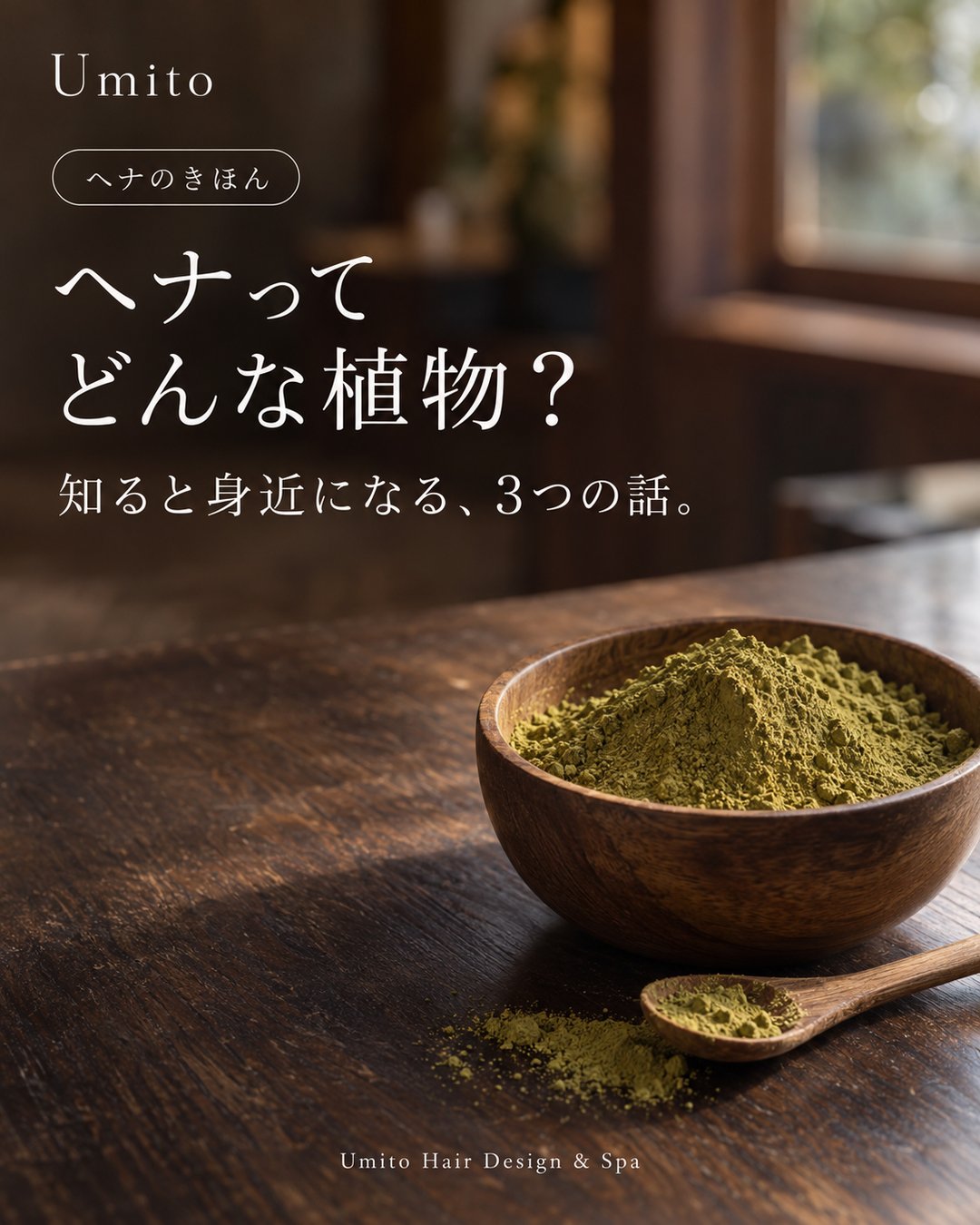 ヘナのきほん08|ヘナってどんな植物?