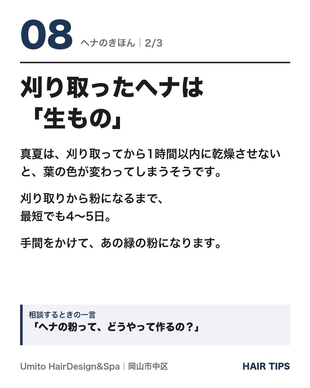刈り取ったヘナは「生もの」