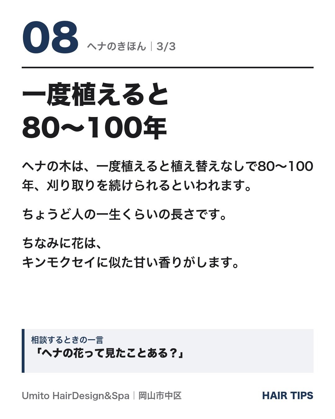 一度植えると80〜100年
