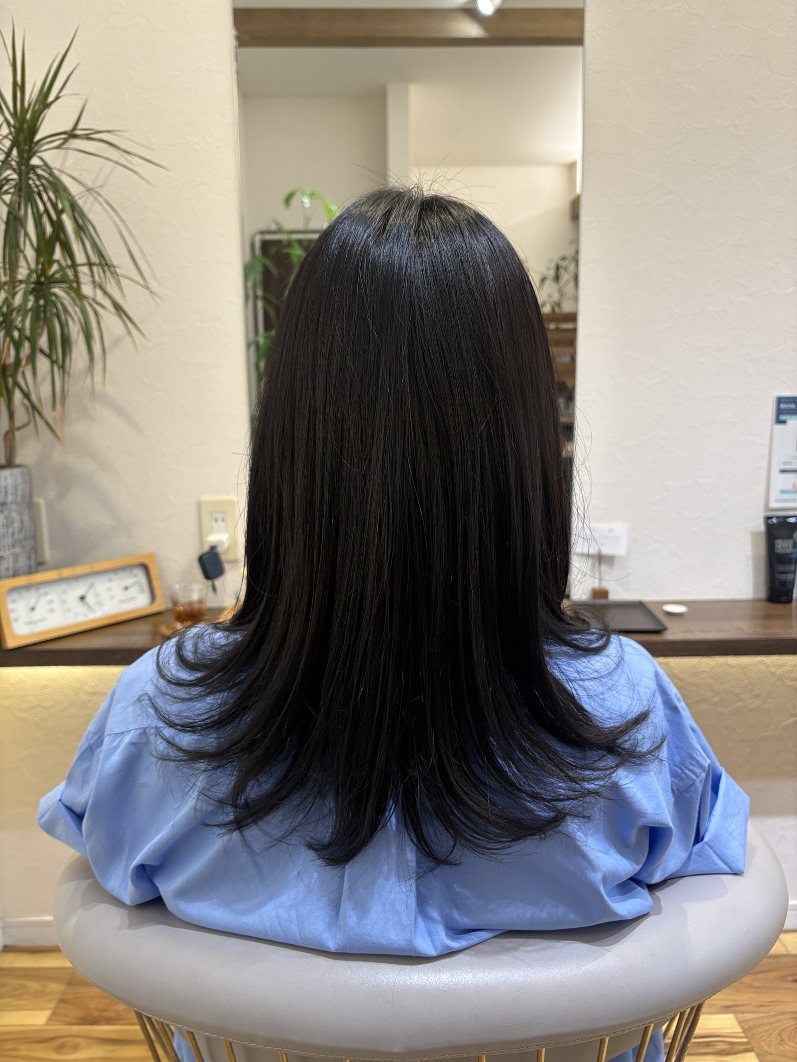 大人のレイヤーセミロング|肩甲骨にかかる長さと、毛先側の段の入り方を真後ろから